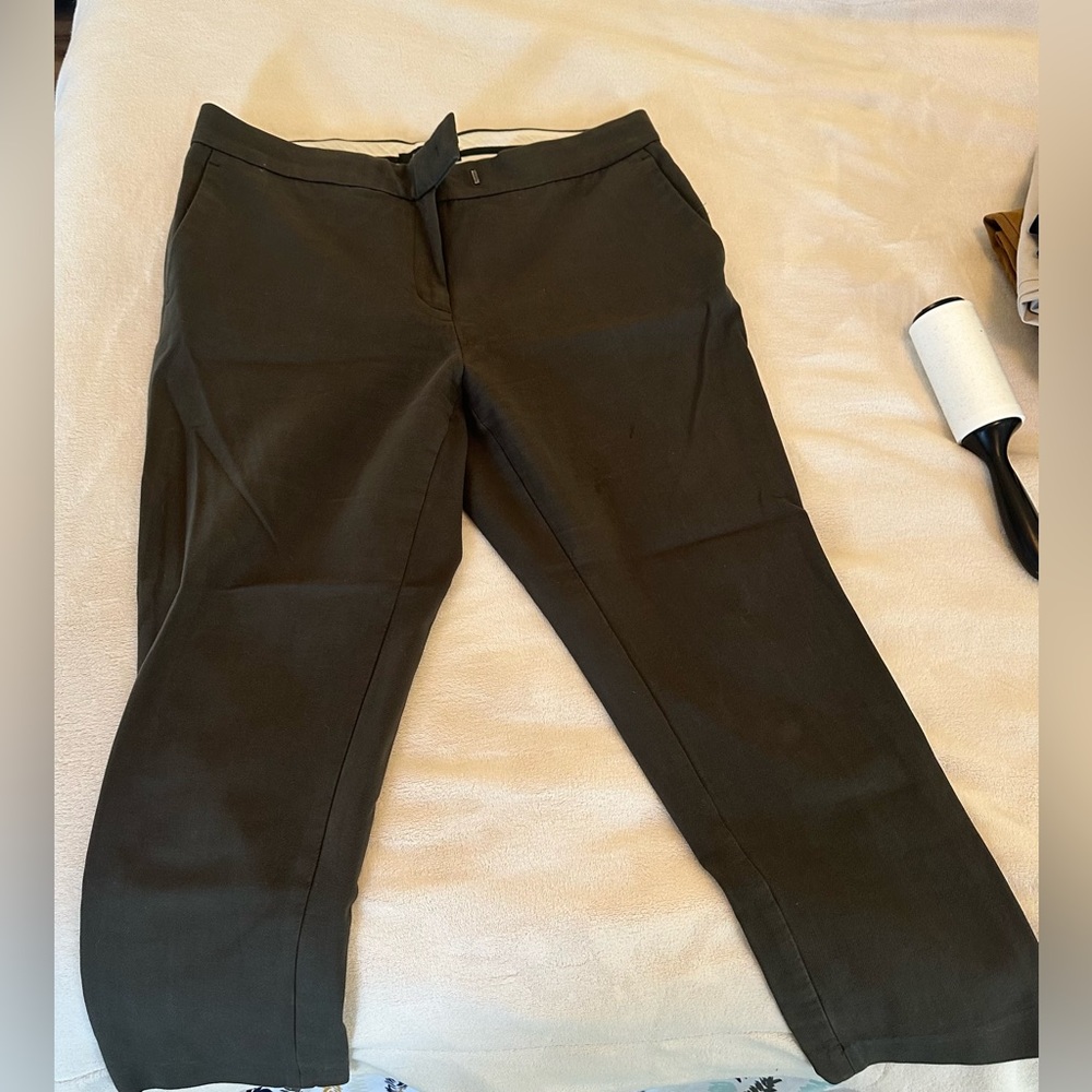 Ann Taylor / petite 8P